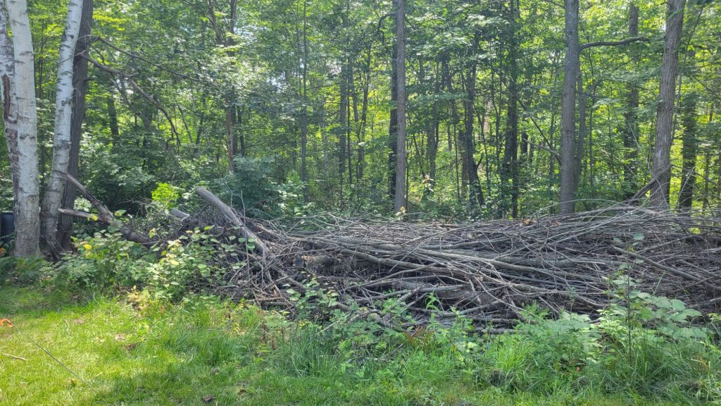 Light to My&nbsp;Path